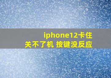 iphone12卡住关不了机 按键没反应